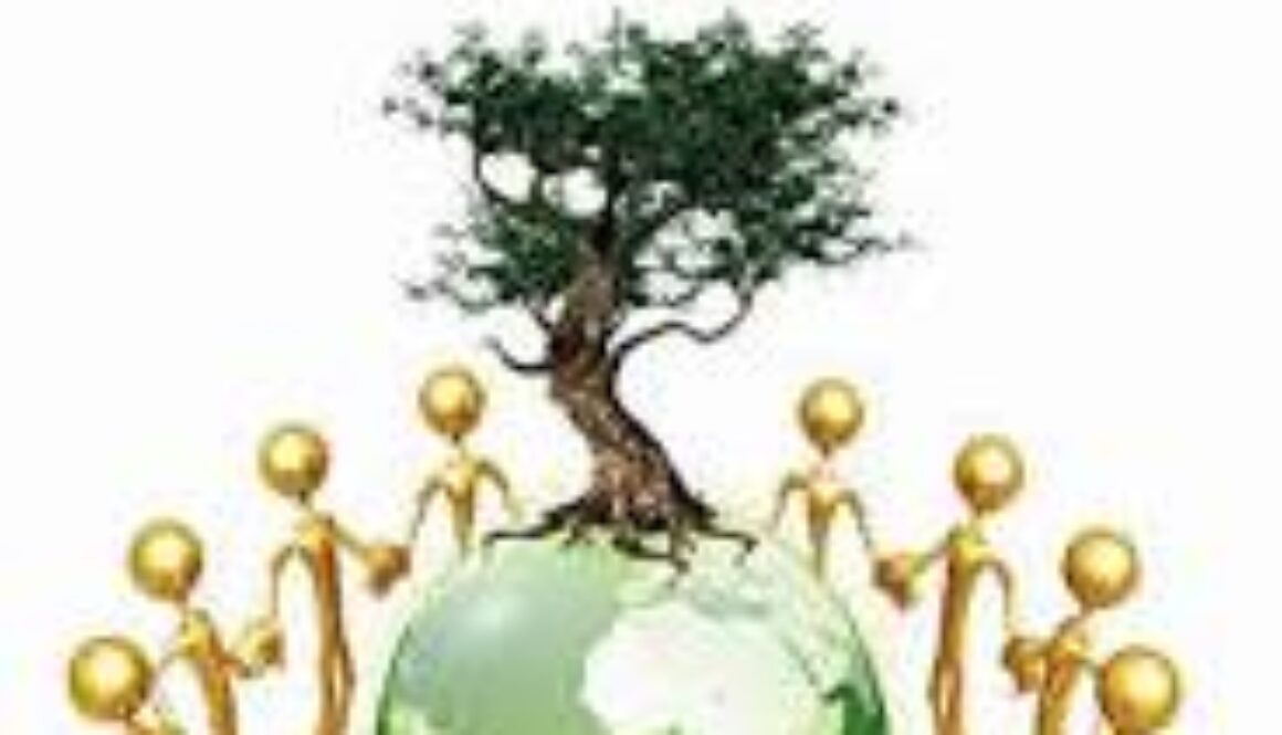 Environment Awareness Report